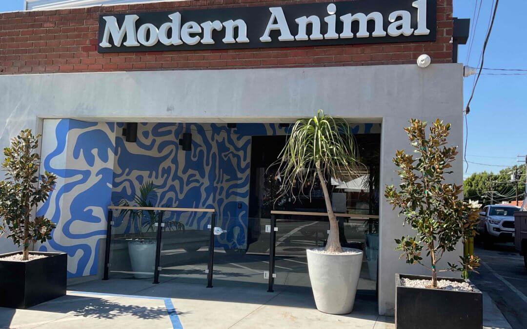 Modern Animal, Southern California