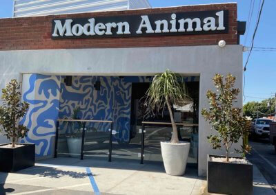Modern Animal, Southern California