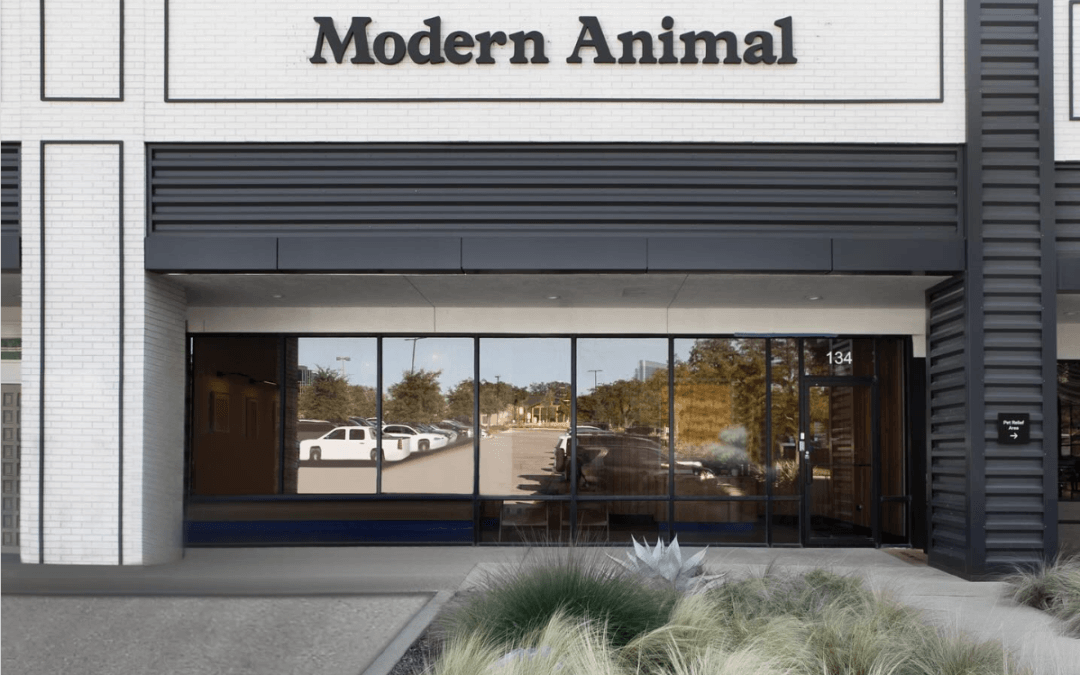 Modern Animal, Dallas, Texas