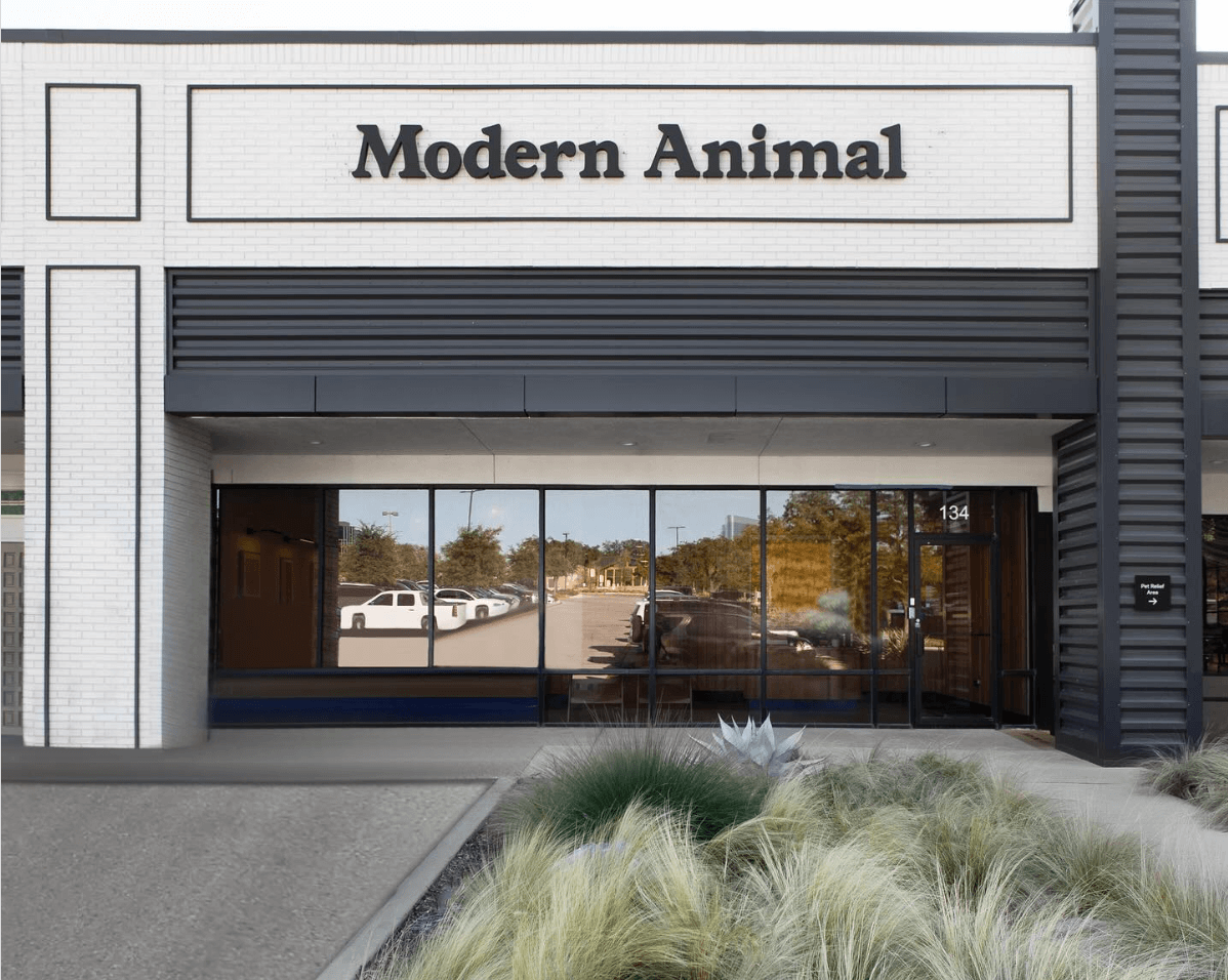 modern animal - Dallas Texas