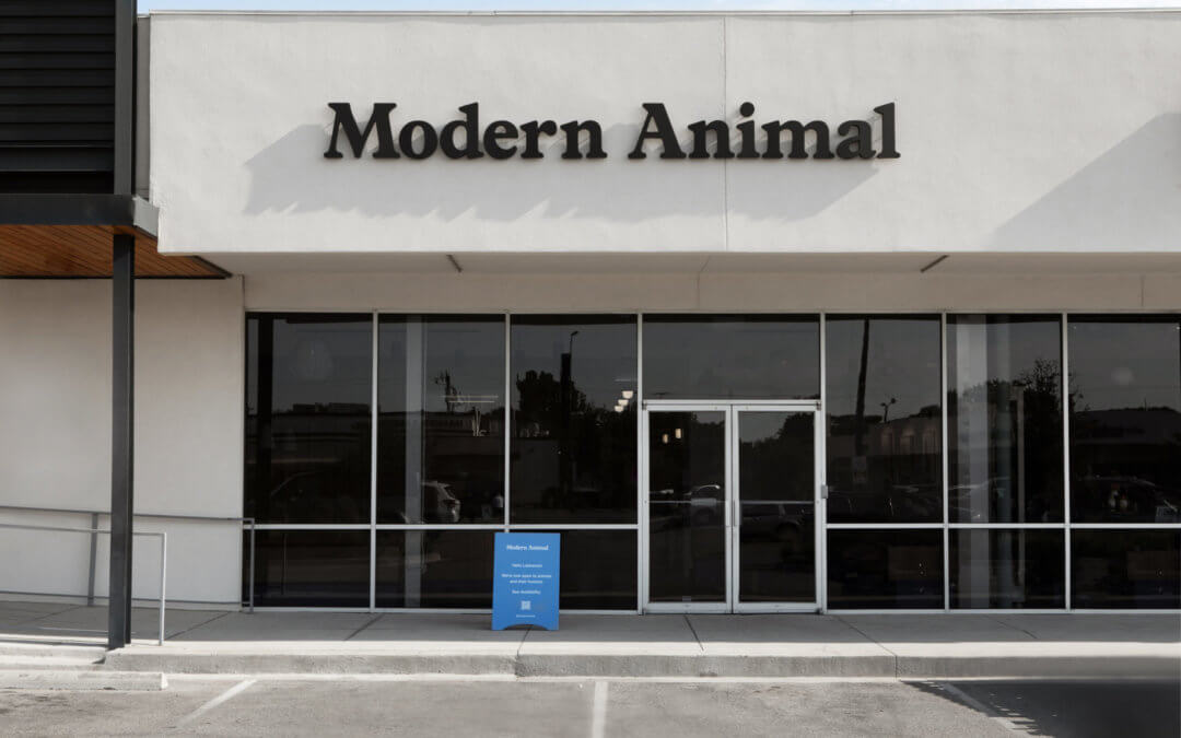 Modern Animal, Addison, Texas