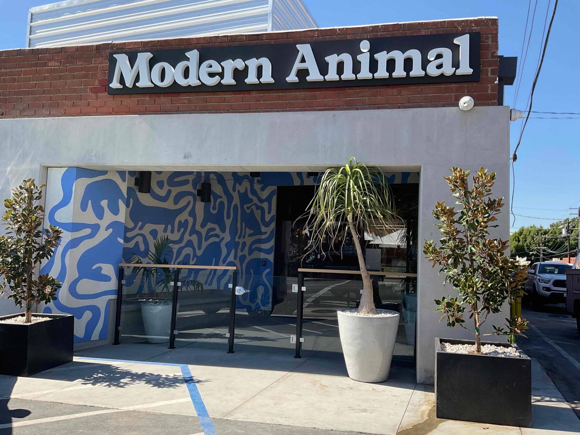 Modern Animal, Culver City, California